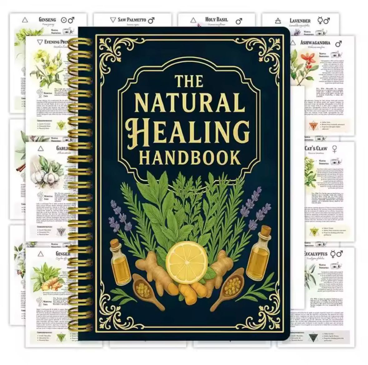 Spiral Bound Herbal Treatment Guide: Natural Remedies & Recipes for Cardiovascular & Blood Glucose Health