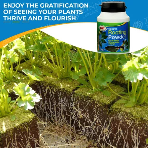 DOFF Natural Rooting Powder 75g for Edible & Ornament Cutting and Plant Growth