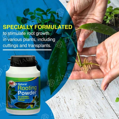 DOFF Natural Rooting Powder 75g for Edible & Ornament Cutting and Plant Growth