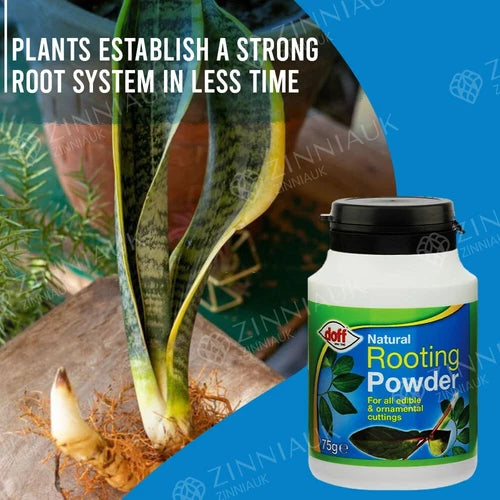 DOFF Natural Rooting Powder 75g for Edible & Ornament Cutting and Plant Growth